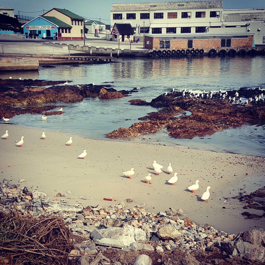 Fairview Accommodation Gansbaai Exterior photo